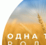 Оргкомитет по празднованию 85-летия Ростовской области - Город Донецк