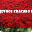 Спасибо, доктор! - Газета Новость