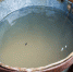 Какую воду в Донецке пить запрещено? - Газета Новость