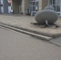 Очередные выходки вандалов - Газета Новость
