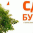 Донецк присоедяняется к акции «Сдай макулатуру – спаси дерево» - Город Донецк