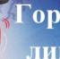 В Донецке пройдет горячая линия по вопросам поддержки инвалидов - Город Донецк