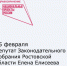 Депутат Законодательного Собрания Ростовской области Елена Елисеева проведет прием граждан - Город Донецк
