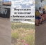 Любимые уголки нашего края - Город Донецк