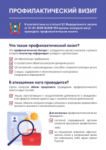 Профилактический визит