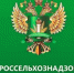 Информирование о высоком уровне рисков заноса и распространения опасной болезни свиней - Город Донецк